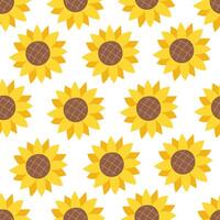 Seamless summer pattern with yellow sunflowers on white background vector