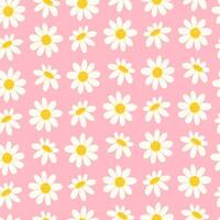 Seamless pattern with spring wild daisies on pink background vector