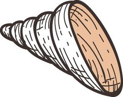 Hand drawn illustration of a seashell, featuring intricate details and textures, creating a realistic depiction of a marine treasure vector
