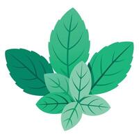 A green leaf with leaves on it vector