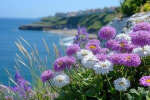 Aster flowers on the seashore on a sunny day photo