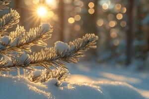 Captivating Winter Forest Scene Featuring Frosted Spruce Branches in Gigapixel Standard Quality photo