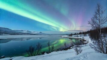 A pristine, mirror-like lake in the Arctic, reflecting the mesmerizing hues of the Aurora Borealis photo
