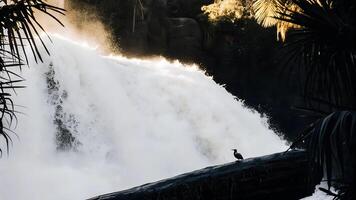 A waterfall cascading down with a large volume of water creating mist photo