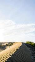 Sand dunes under a clear blue sky with a few wispy clouds, featuring sparse green vegetation at the base of the dunes photo