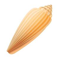 ribbed sea shell of turquoise color on white background vector
