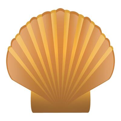 beige oval sea shell on white background