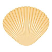 ribbed sea shell of turquoise color isolated on white background vector