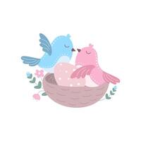 Two birds sit in a nest vector