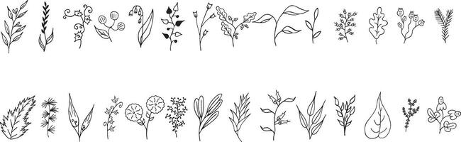a set of hand drawn flowers and plants vector