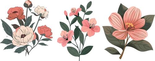three different types of flowers are shown in this illustration vector