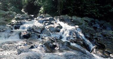 Scenic river in rain forest and a little cascade waterfalls video