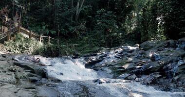 Scenic river in rain forest and a little cascade waterfalls video