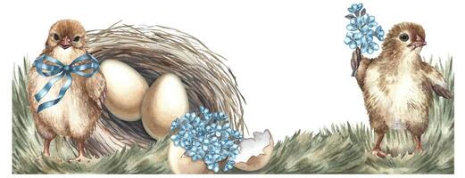 Easter banner. Cute chickens with forget-me-nots and a nest of eggs. watercolor illustration in vintage style. Highlight it. For making greeting cards and invitations for Easter. vector