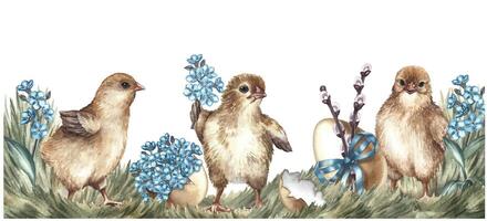 Easter banner. Cute chickens and an Easter egg decorated with willow and forget-me-nots. watercolor illustration in vintage style. Highlight it. For greeting cards and invitations for Easter. vector