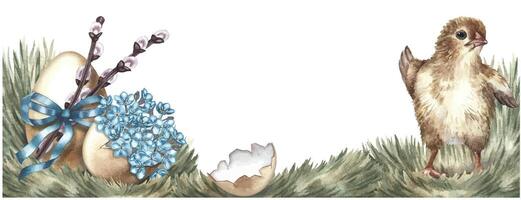 Easter banner. Cute chicken and egg decorated with willow and forget-me-nots. A watercolor illustration in vintage style. Highlight it. For making greeting cards and invitations for Easter. vector