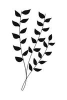 Botanical silhouette leaves illustration. vector