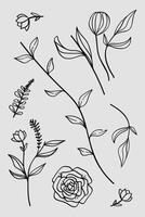 Hand-drawn botanical line art featuring flowers, leaves, and wildflowers. vector