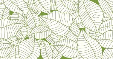 Botanical leaf wallpaper . Nature pattern in green isolated on white background. illustration. vector