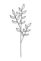 Tree branch with flowers and leaves isolated on white background. Hand-drawn illustration in doodle style. vector