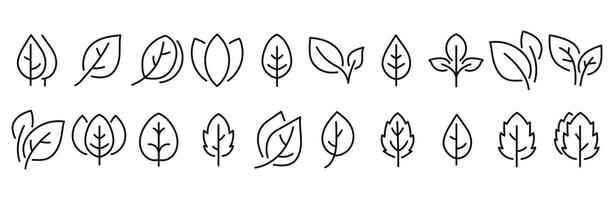 Minimalist Leaf Line Icons Set. illustration. vector