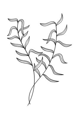 Nature plant line art hand drawn . illustration