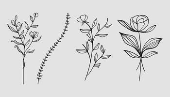 Botanical line art with flowers and leaves collection. vector