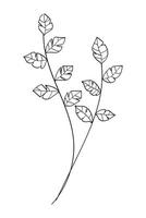 Tree branch botanical line art nature drawing vector