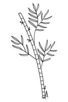 Bamboo tree line art hand drawn background. illustration vector