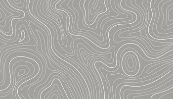Abstract contour map isolated on gray background. illustration. vector