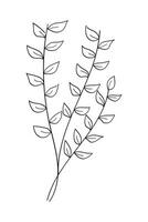 Tree branch with flowers and leaves isolated on white background. illustration vector