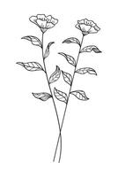Tree branch and flower botanical line art nature element. illustration. vector