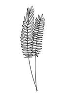 image of leaves, twigs on a white background. Decoration for cards and invitations. vector