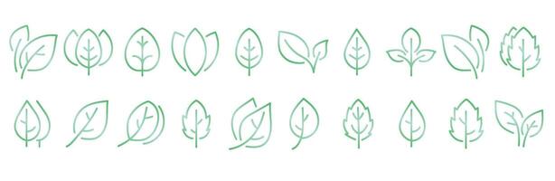 Leaf Gradient Outline Icons Set. illustration. vector