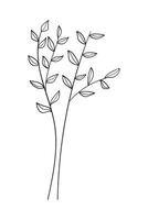 Botanical with leaves isolated on white background. vector