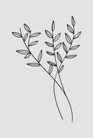 Botanical line art nature element illustration vector