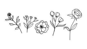 Botanical line art with flowers and leaves set. illustration vector