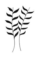 Silhouette botanical leaves isolated on white background. vector