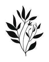 Silhouette botanical illustration. vector