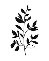 Silhouette Twigs with Leaves in a Botanical Style. illustration. vector