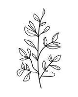 Cute branch with flowers and leaves isolated on white background. illustration. vector
