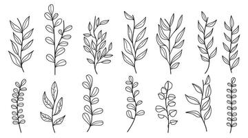 Set of floral line art branch, leaf, plants for logo template, invitation save the date card. Botanic outline pencil sketch leaves. vector