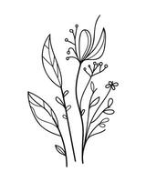 Branch of a plant with flowers and leaves. vector