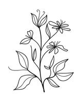 Hand drawn botanical line branch. illustration. vector