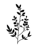 Silhouette Twigs with Leaves in a Botanical Style vector