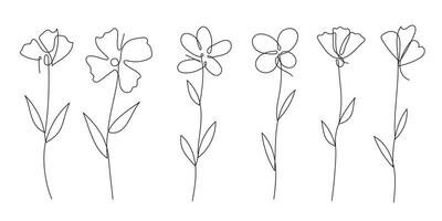 Elegant Botanical One-Line Drawing Flower Set. illustration. vector