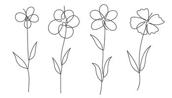 Hand-Drawn Continuous Line Floral Art Collection. illustration. vector