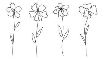 Minimalist Single Line Art Flower Illustration vector