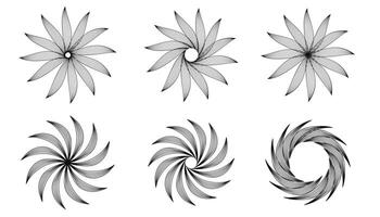 Abstract mandala pattern botanical collection blend. vector