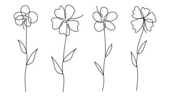 Abstract One Line Floral Illustration Set. illustration. vector
